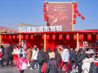 北京什刹海荷花市场“吉市驾到”