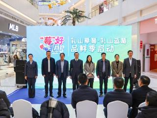 “莓”好乳山，莓莓与共——乳山草莓蓝莓品鲜季活动启幕