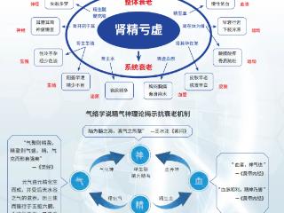 应对全球老龄化：中医药抗衰科研突破，搭建传统智慧与现代医学桥梁