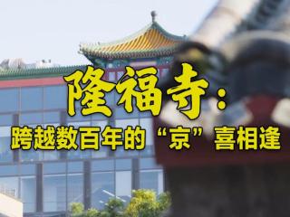 一眼心动的中国｜隆福寺：跨越数百年的“京”喜相逢