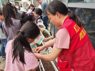 蔺惠社区：当劳动遇见疗愈，用绿意滋养成长