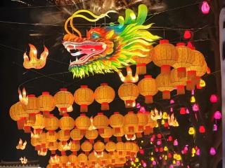 冬享沂蒙过大年丨2026临沂皇山盛境·新春灯会