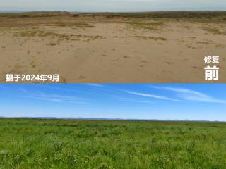 一号文件赋能草种科技 蒙草生态服务保障体系助力“三北”攻坚