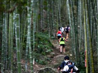 跑山成户外新潮流 专业化赋能全民健身