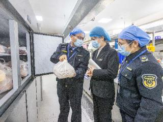 广西蒙山全链条监管筑牢安全防线