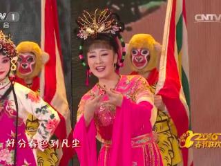 十年见证：从春晚《天女散花》到分会场花落安徽，何云希望更多年轻人看到安徽文化魅力