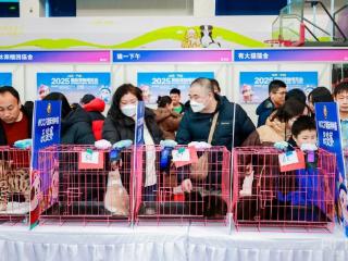 2025国际宠物博览会落幕：Benarmi倡导全生命周期健康管理