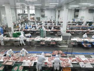牧原肉食：坚守生产一线 保障春节肉品充足