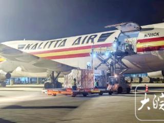 “硬菜”来了！ 83.7吨波士顿龙虾包机抵肥