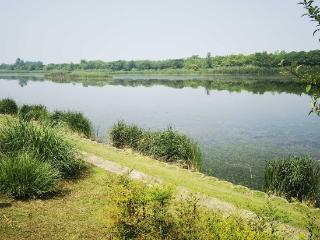 三年攻坚绘就碧水长卷 江宁治水赋能民生福祉