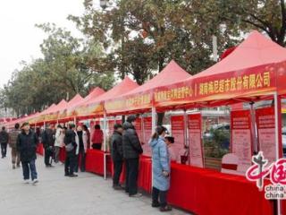 新春走基层：武陵源区专场招聘“职”达家门