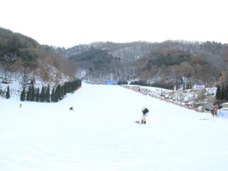雪窝藏暖意，亲子共欢腾——烟台市雪上家庭趣味运动会暨家庭欢乐节即将启幕！