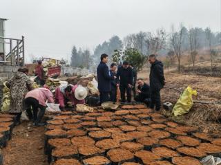 工行毕节大方支行：金融时雨润春耕，沃野产业绘新篇