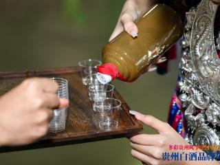 购车、餐饮、商超全覆盖 贵州2026年优质酱酒联动促消费活动“焕新”启动