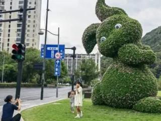 你发现了吗？杭州街头的“网红”又换人了