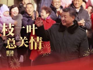 重磅微视频丨一枝一叶总关情