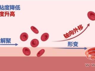 西工大团队精准量化血液流变 为心血管疾病模拟诊断提供科学支撑