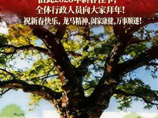 一棵树“走”进AI海报 青少年宫小学的新春祝福有了根与魂