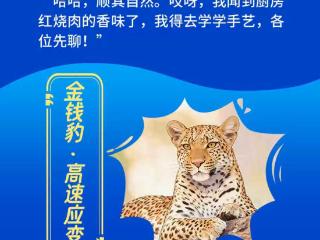 河北日报贺新春｜长图•春节走亲戚实用攻略：看看动物们的“社交法则”