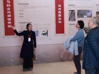 大年初一，到郑州市考古博物馆看“马”