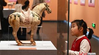 博物院里看马展