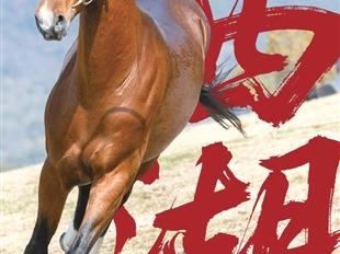 西湖携手滨江，送上“春节游玩指南”