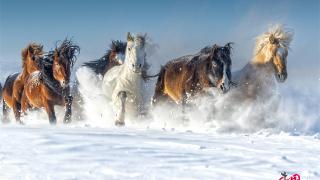 旷野长风，以此启程
