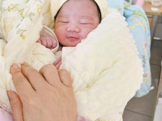 新春添喜 | “马宝宝”笑着来报到 小名叫初一