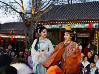 荣国府里品红楼