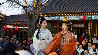 荣国府里品红楼