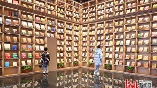 新春走基层丨来博物馆，赴一场成语盛宴