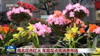 南北花市红火 年宵花点亮消费市场