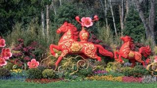 西湖附近这些人少景美的小众秘境等你打卡