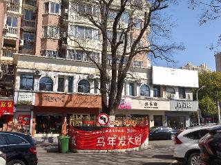 大年初四，记者探访六安文庙街口百年楸树