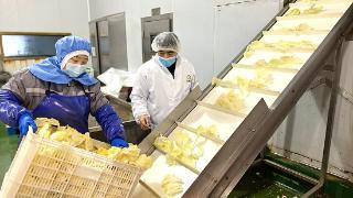 新春走基层丨净菜保鲜有高招儿