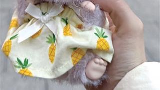 杭州一家高科技创业公司员工 每人领一个陪伴机器人回家过年