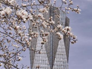 告别“暖如四月春” 气温回归“1”字头 一直到三月初 杭州阴雨频繁