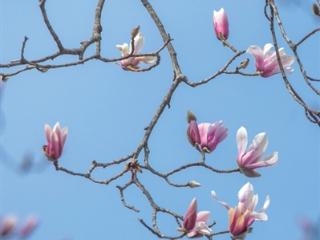 备好雨具 一长串雨天要来杭州了