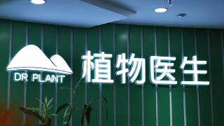 植物医生IPO冲刺A股主板,高山植物护肤赛道跑出“单店之王”