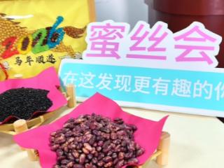 指尖绘新春 福韵满滨城丨中荷人寿大连分公司举办系列新春蜜丝会活动