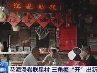 快来赏花打卡！各地春日限定花海上线