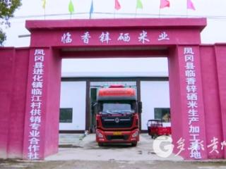 【新春走基层】凤冈：驻村工作队员变身“大米推销员”