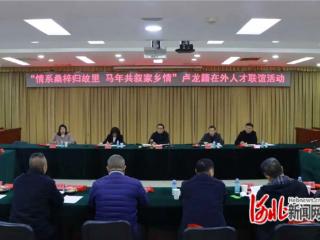 卢龙县举办在外人才联谊活动