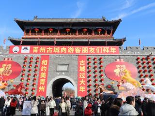 2026青州春节文旅市场“马”力全开 喜迎“开门红”