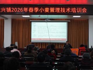 临沭县大兴镇：2026年春季小麦管理技术培训会举行