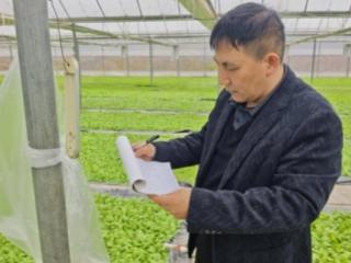 湖南宜章：春寒护苗“三心”暖 静待烟叶溢飘香