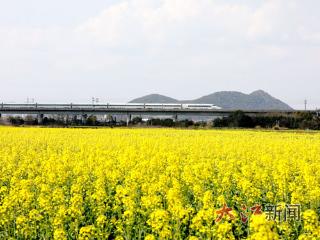 “新春第一会”江西为何聚焦“三农”