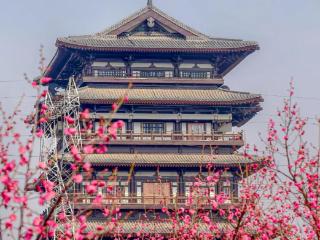 “梅”景上线！请查收河南赏梅好去处