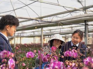 新春走基层 | 罗庄农商银行：护航新春消费 为年味添“金”