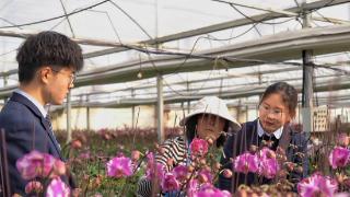 新春走基层 | 罗庄农商银行：护航新春消费 为年味添“金”